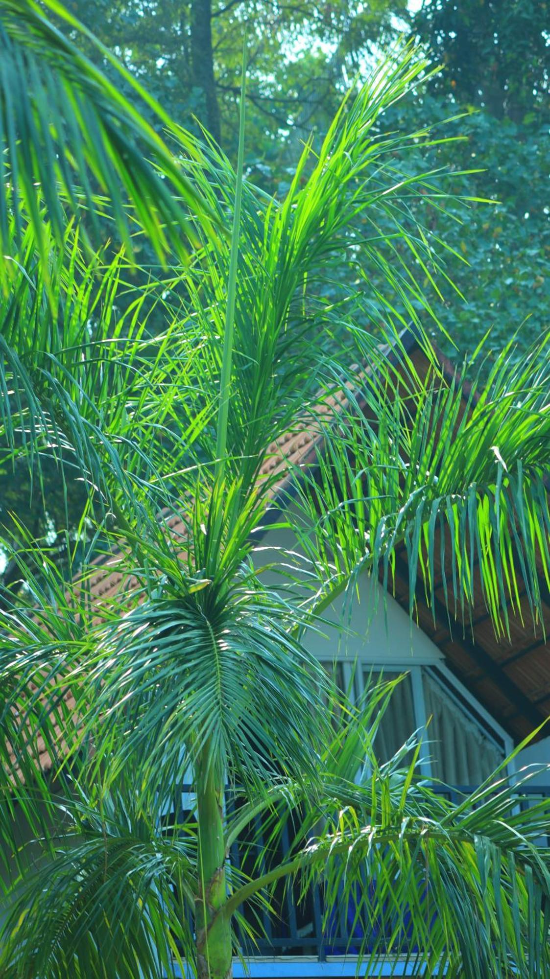 Ripples Service Villas Kollam Luaran gambar